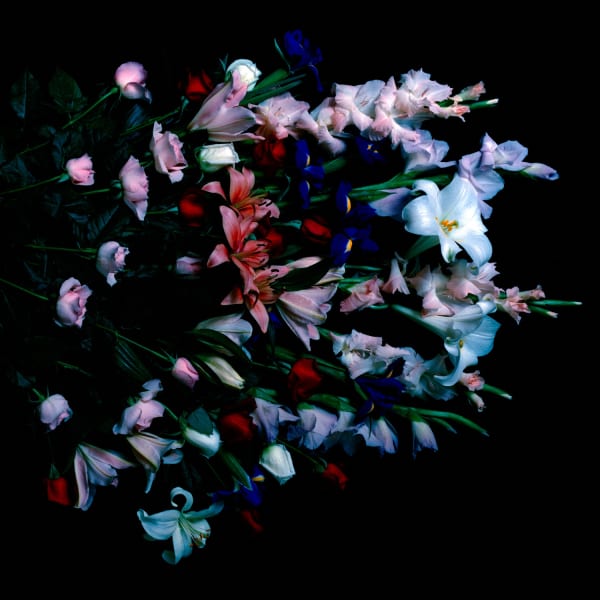 Anne MacDonald - Party no.1, 2012-13
