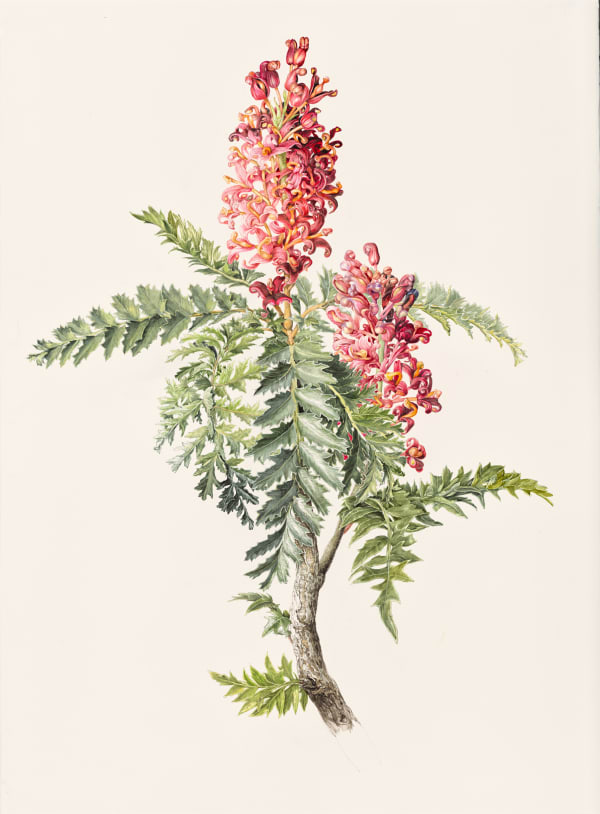 Significance of the arts in environmental advocacy, panel presentation