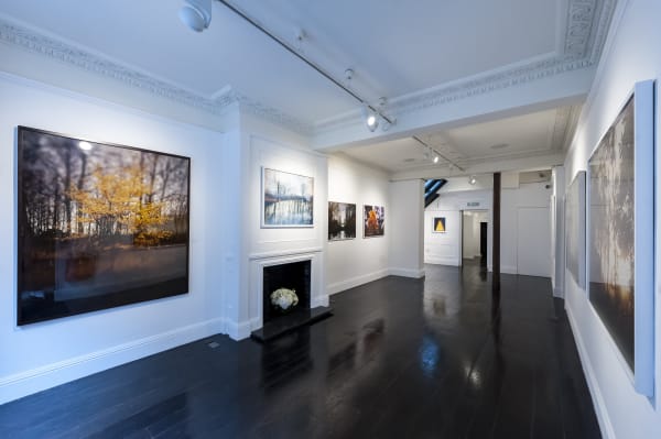 Blackboxprojects 256