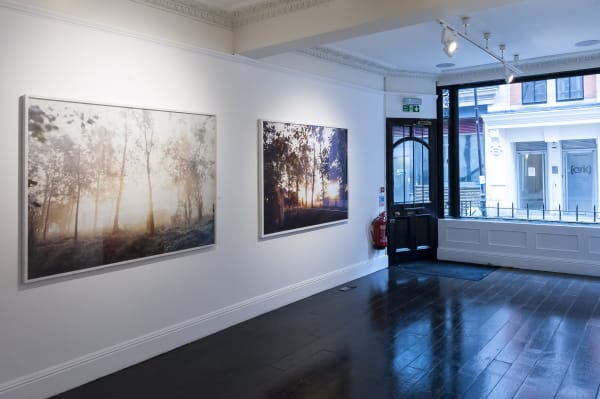 Blackboxprojects 260