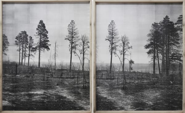 Adam Jeppesen - Error, Object, Structure