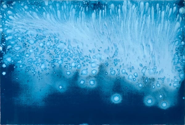 Into the Blue Cyanotype in Contemporary Photography