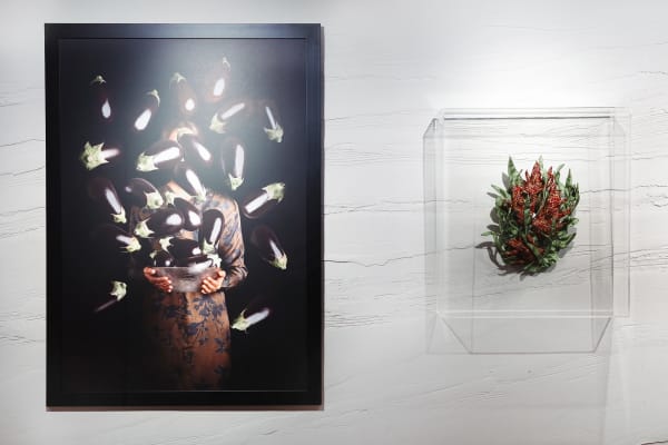 The Art Of Curation Installation 17