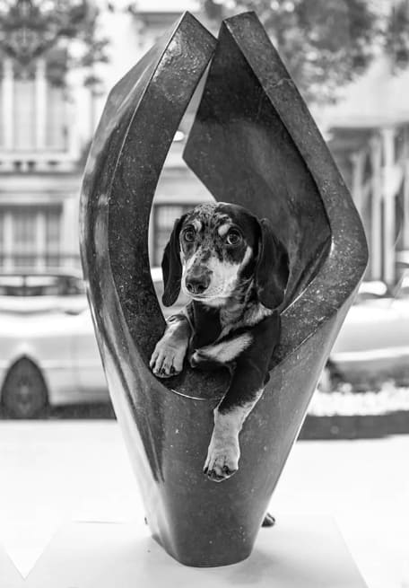 Pom, Gallery Ambassador | New York