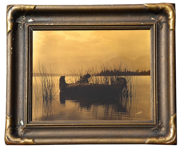 The Rush Gatherer - Kutenai