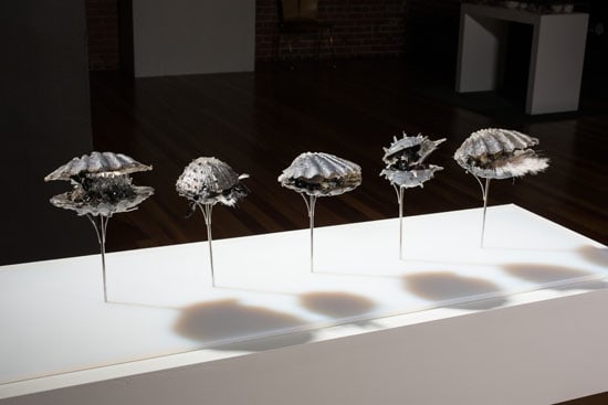 Emily Nachison, Diver, 2014