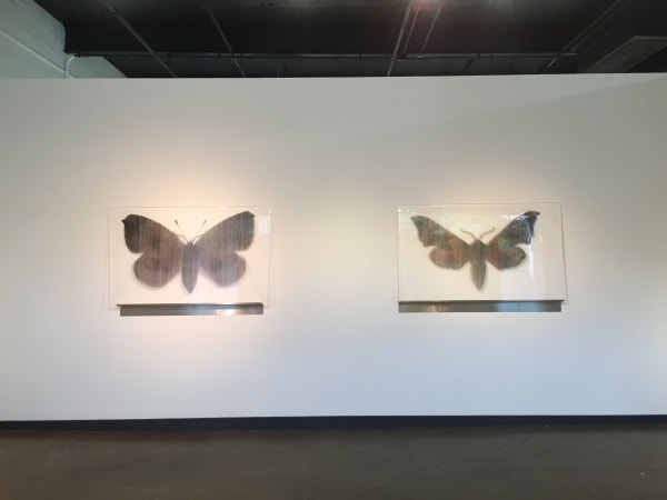 Hidden Narratives Rcny 10