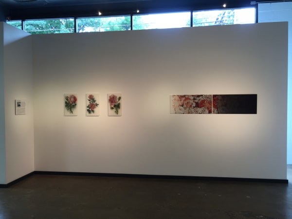 Hidden Narratives Rcny 3