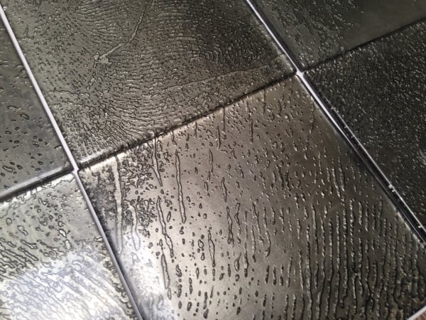 Vestige (Impression) Carrie Ann Plank