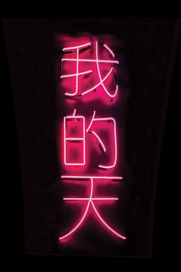 The bilingual daughter of Taiwanese immigrants, she explores the ambiguity of language in works such as OMG (2015); the Chinese...