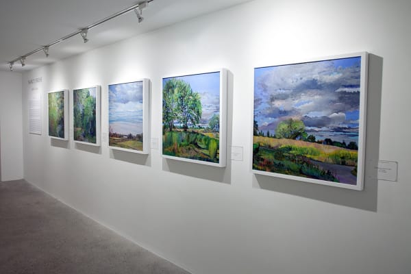 Nancy Friese Installation View, Cade Tompkins Projects