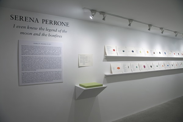 Serena Perrone Installation View, Cade Tompkins Projects