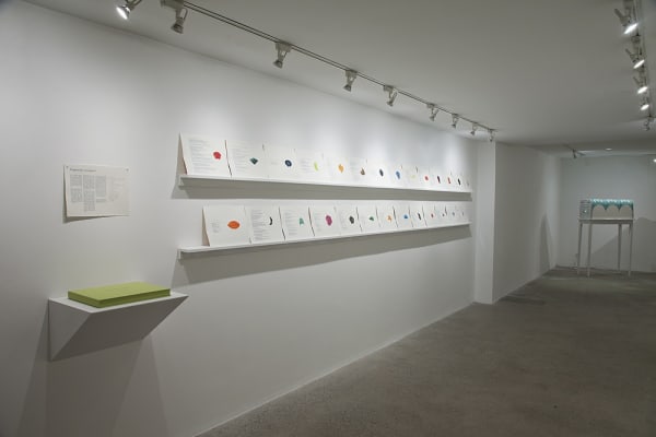 Serena Perrone Installation View, Cade Tompkins Projects