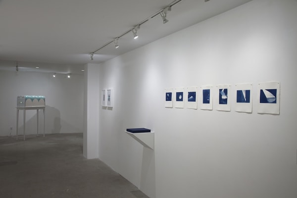 Serena Perrone Installation View, Cade Tompkins Projects