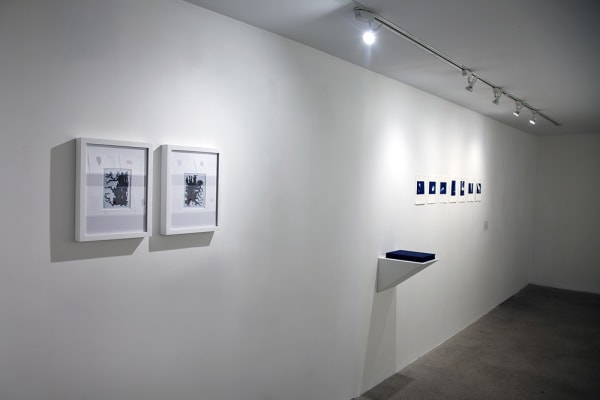 Serena Perrone Installation View, Cade Tompkins Projects
