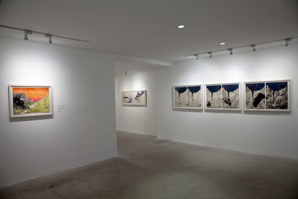 Allison Bianco Installation View, Cade Tompkins Projects