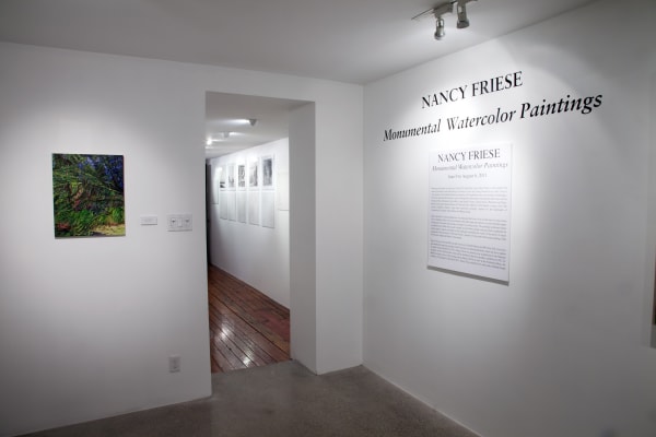 Nancy Friese Installation View, Cade Tompkins Projects