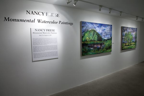 Nancy Friese Installation View, Cade Tompkins Projects