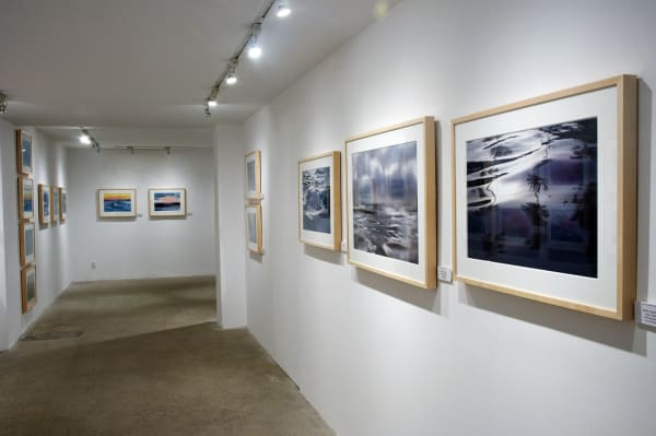 Elements of Nature Installation View, Cade Tompkins Projects