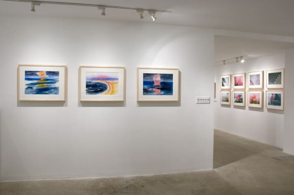 Elements of Nature Installation View, Cade Tompkins Projects