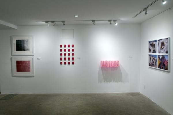 Pink is the New Black Installation View, Cade Tompkins Projects