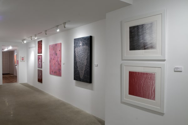 Pink is the New Black Installation View, Cade Tompkins Projects