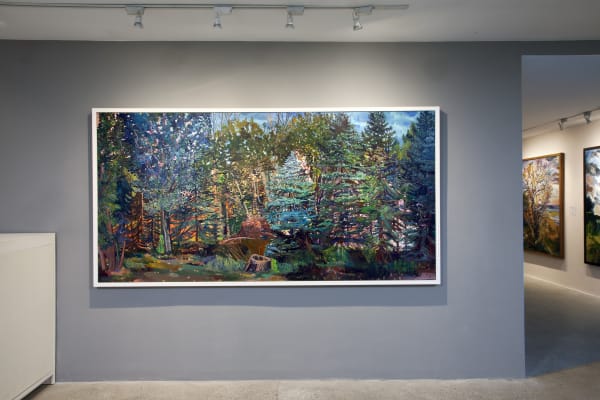 Nancy Friese: Eloquent Landscapes at Cade Tompkins Projects