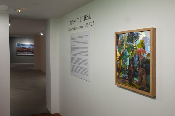 Nancy Friese: Eloquent Landscapes at Cade Tompkins Projects