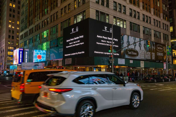 Aaron Pexa Installation View, ZAZ10TS, New York, NY Courtesy of ZAZ10TS, photographer: Zdravko Cota