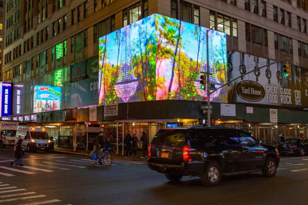 Aaron Pexa Installation View, ZAZ10TS, New York, NY Courtesy of ZAZ10TS, photographer: Zdravko Cota