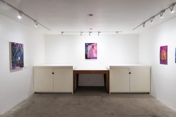 Suzanne Schireson Installation View