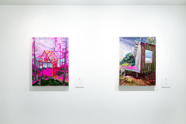 Suzanne Schireson Installation View