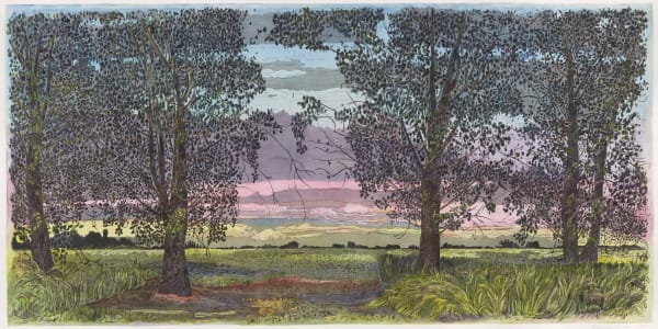Nancy Friese