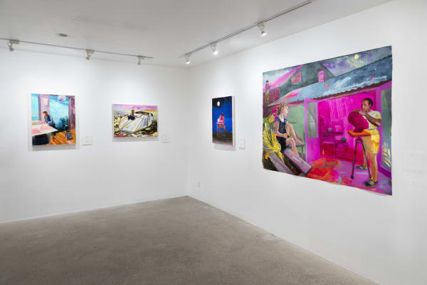 Suzanne Schireson: Bright Ground