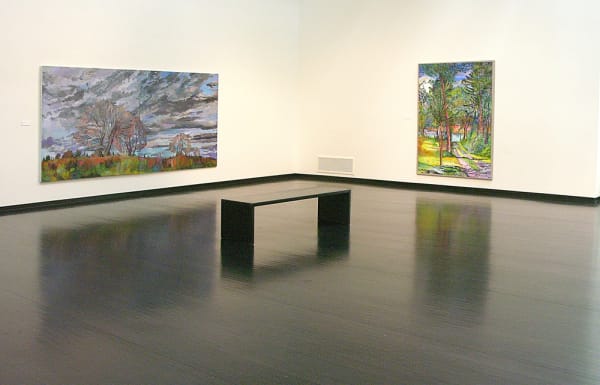 Nancy Friese: Encircling Trees and Radiant Skies