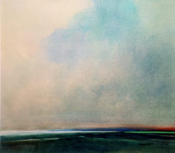 Thomas Sgouros featured in The New York Times