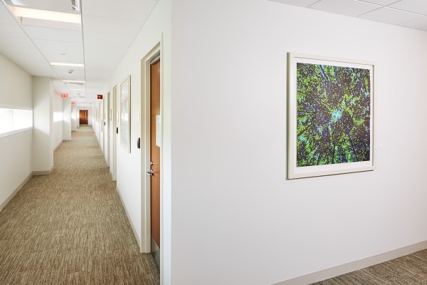 MSKCC Nassau Installation View