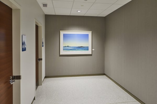 MSKCC Nassau Installation View