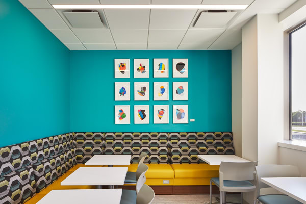 MSKCC Nassau Installation View