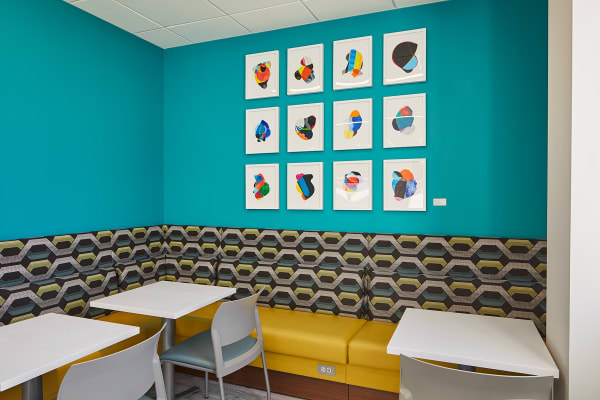 MSKCC Nassau Installation View