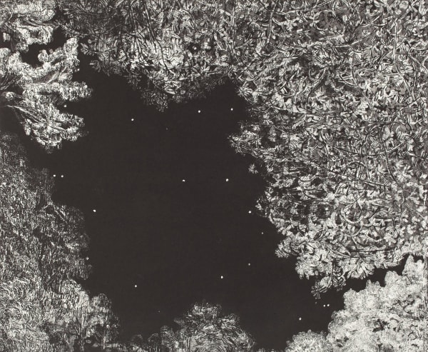 Nancy Friese, Night Stars
