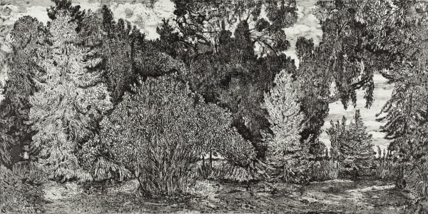 Nancy Friese, Still Grove