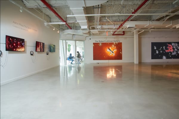 Aaron Pexa Installation View, Urban Glass, Brooklyn, NY
