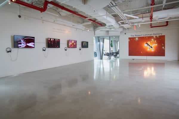 Aaron Pexa Installation View, Urban Glass, Brooklyn, NY