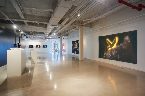 Aaron Pexa Installation View, Urban Glass, Brooklyn, NY