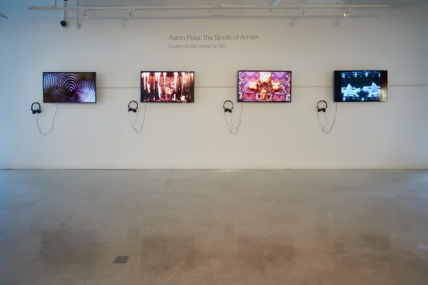 Aaron Pexa Installation View, Urban Glass, Brooklyn, NY