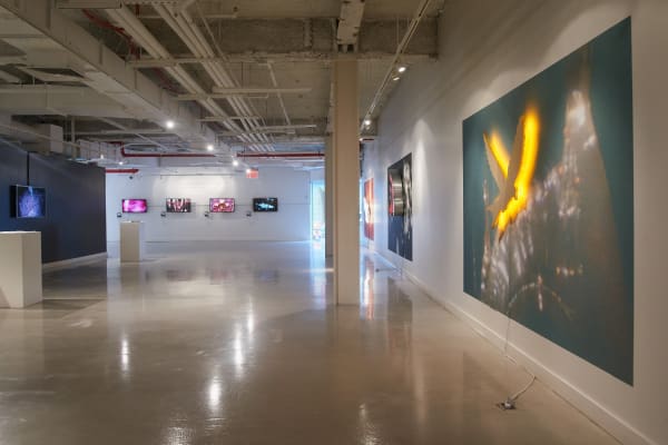 Aaron Pexa Installation View, Urban Glass, Brooklyn, NY