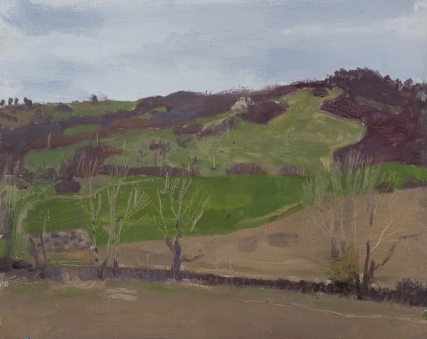 Danny Markey Hills, Pignano, Italy oil on board 23.5 x 29.5 cm