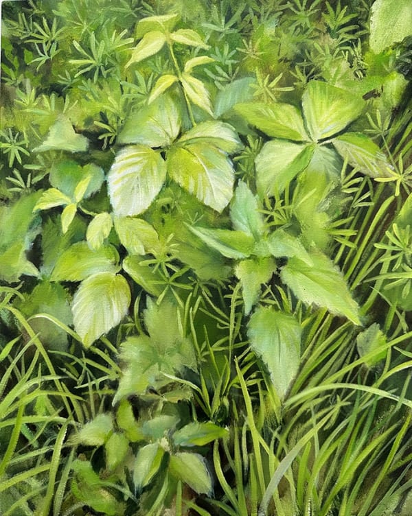 David Edmond, Thicket 1