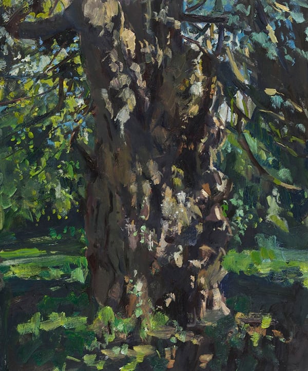 Tom Benjamin NEAC, Yew Tree, Late Summer